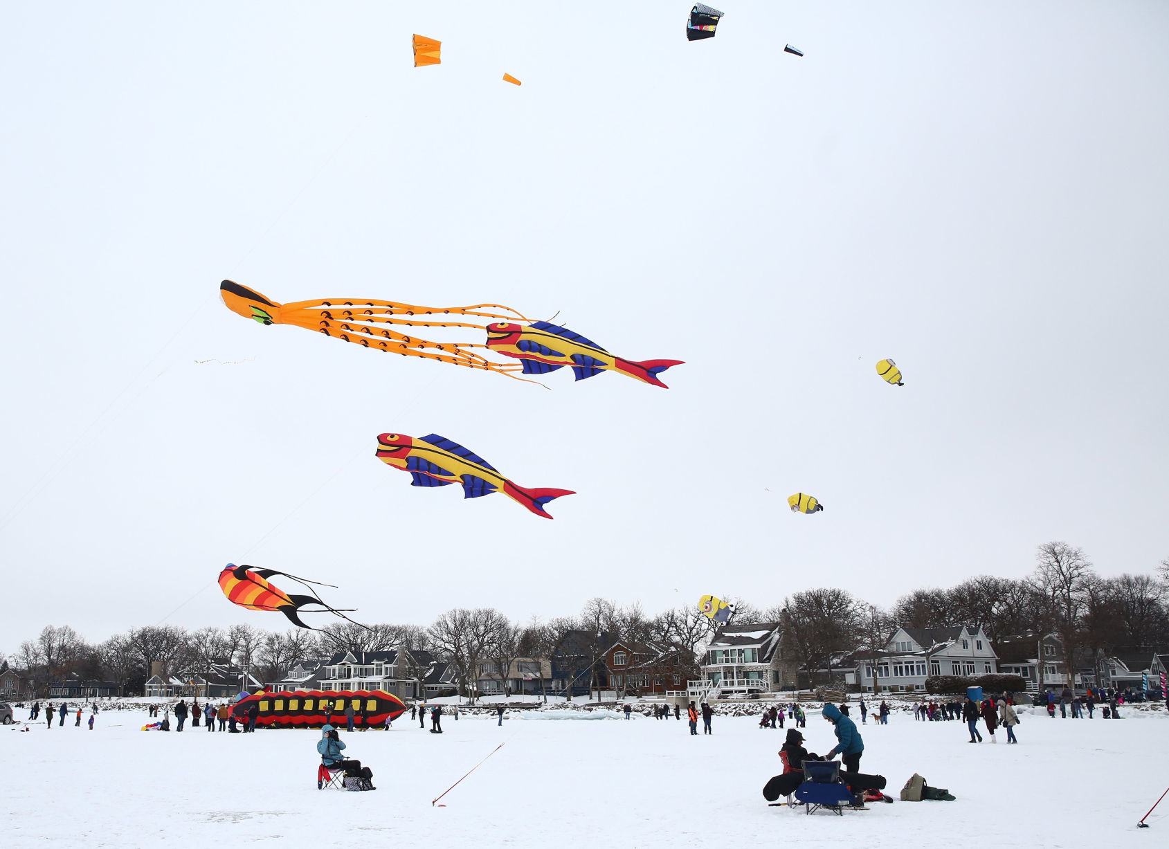 Color the Wind 11